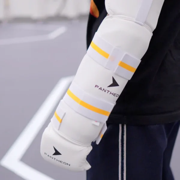 Pantheon Heavy Duty käsikaitsmed taekwondo sparringuks 1